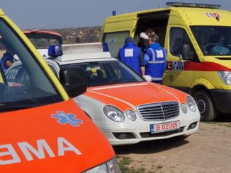 Ambulanțele veterinare au patrulat prin Valu lui Traian. FOTO Primăria Valu lui Traian