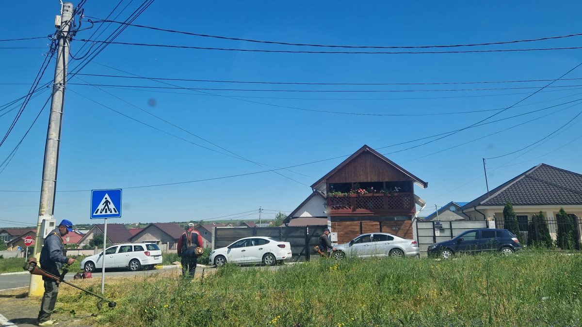 Acțiuni de înfrumusețare a comunei Valu lui Traian. FOTO Gospodărie Comunală Valu lui Traian.