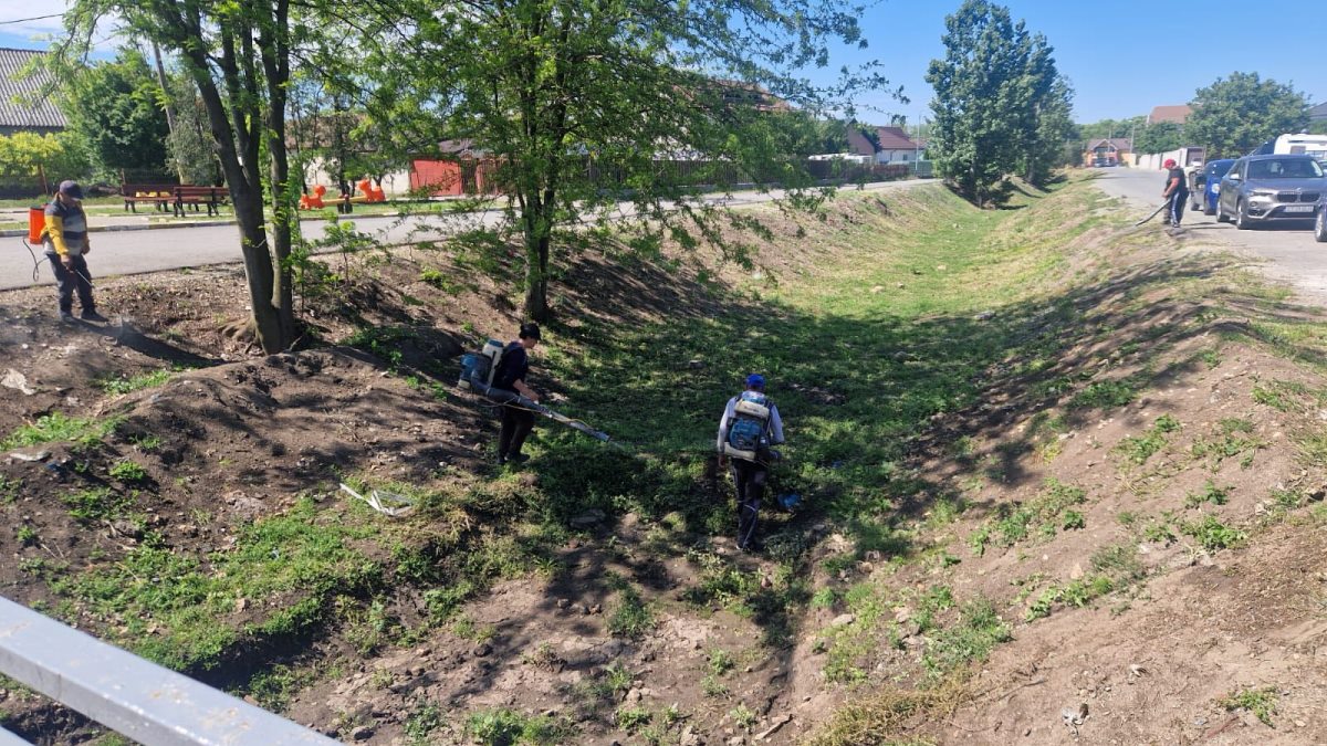 Acțiuni de înfrumusețare a comunei Valu lui Traian. FOTO Gospodărie Comunală Valu lui Traian.