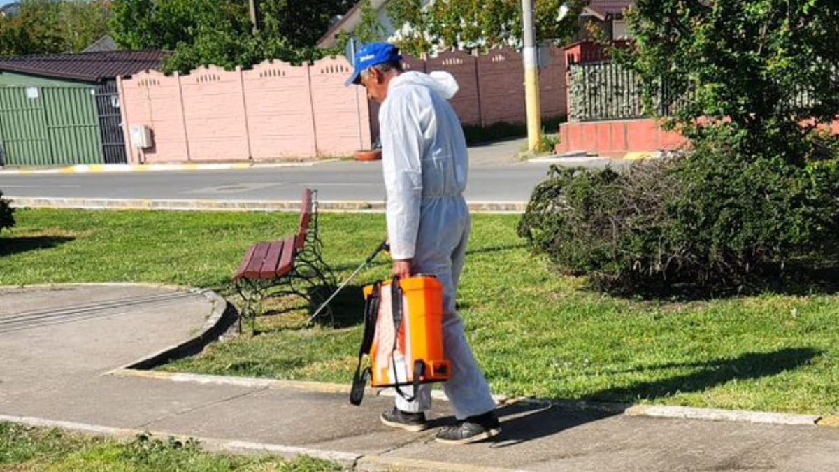 Acțiuni ale celor de la Gospodărie Comunală Valu lui Traian. FOTO Gospodărie Comunală Valu lui Traian