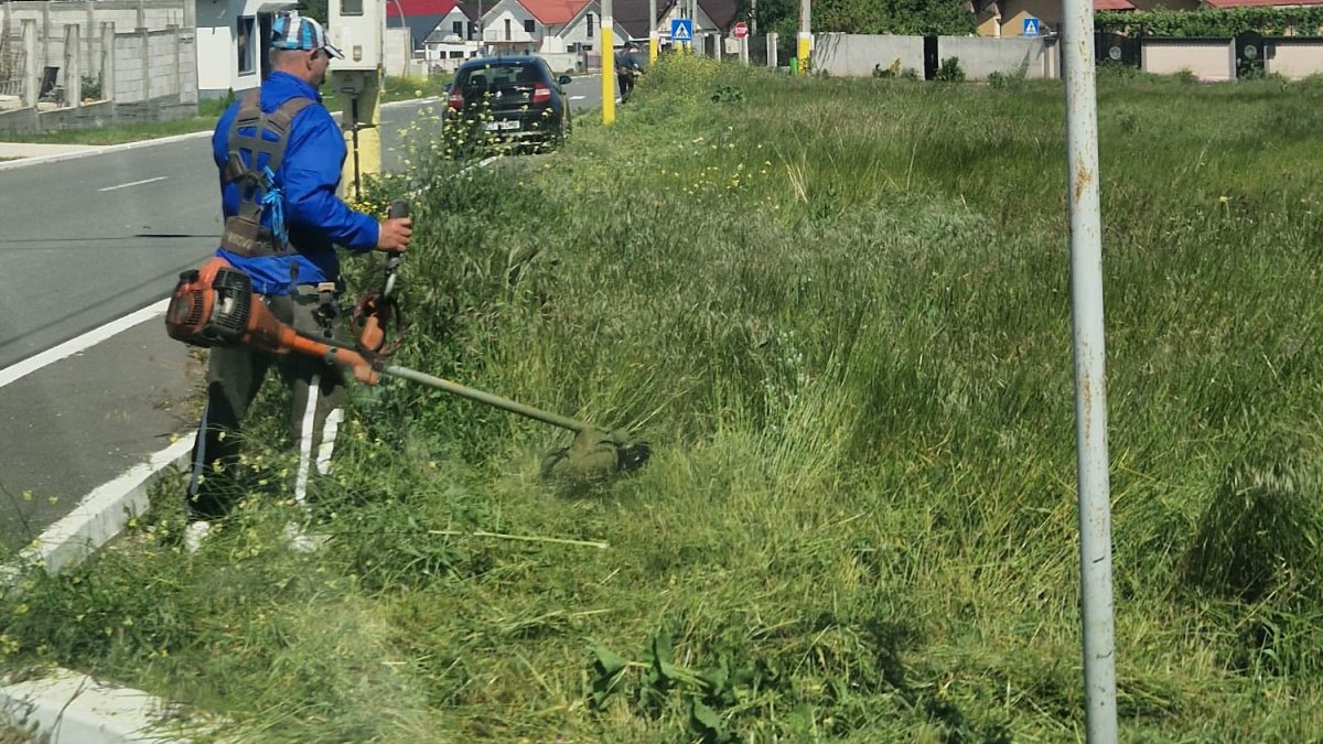 Acțiuni ale celor de la Gospodărie Comunală Valu lui Traian. FOTO Gospodărie Comunală Valu lui Traian