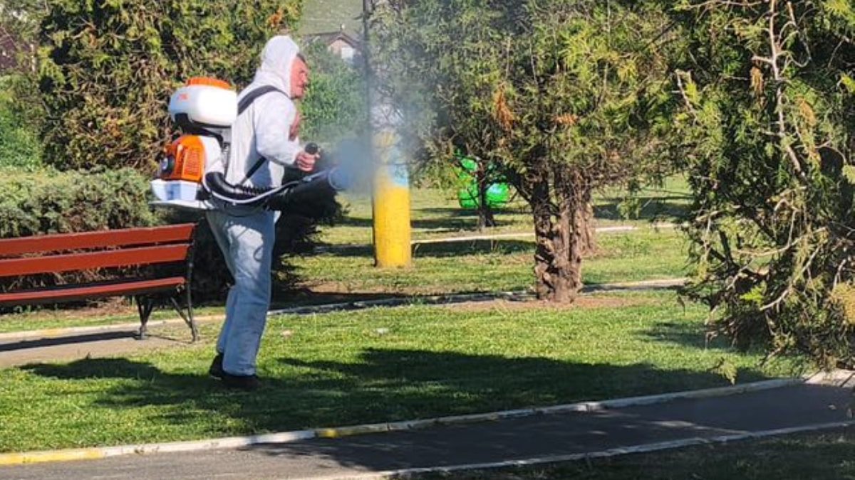 Acțiuni ale celor de la Gospodărie Comunală Valu lui Traian. FOTO Gospodărie Comunală Valu lui Traian
