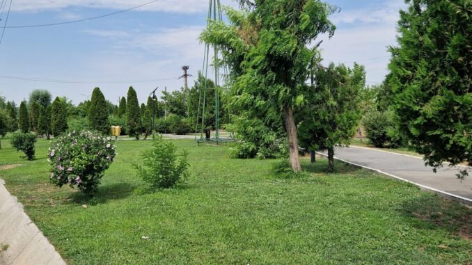 Lucrări efectuate de Serviciul de Gospodărie Comunală. FOTO Serviciul de Gospodărie Comunală.