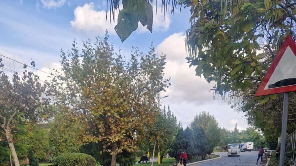 Echipa Gospodăriei Comunale, motorul curățeniei și al ordinii în Valu lui Traian
