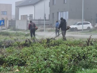 Lucrătorii de la serviciul de Gospodărie Comunală se află pe teren. FOTO Gospodărie Comunală Valu lui Traian