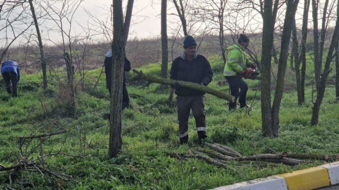 Angajații de la Gospodărie Comunală sunt constant pe teren pentru a menține aspectul estetic al comunei. FOTO Gospodărie Comunală Valu lui Traian