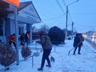Acțiune de deszăpezire în Valu lui Traian. FOTO Primăria Valu lui Traian